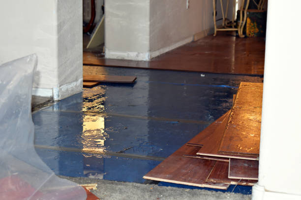 Professional Water Extraction technician working in Nichols, WI